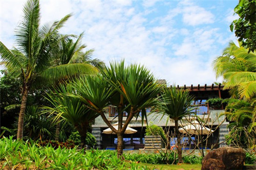 卡滋奇客脆脆鸡