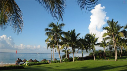 奶茶店奶茶配方有哪些