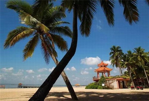 寿司店创业好项目文案，寿司店创业项目计划书