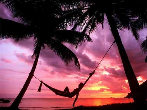 在平原县加盟萌鸡特工泡泡鸡有前途吗