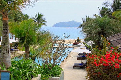 蚂蚁的十大刑法是什么（蚂蚁几种）