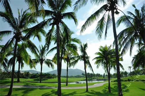 西廊老村租房价格（廊坊西村什么时候拆）