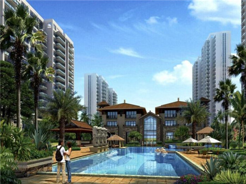 炒洋芋粑粑儿童可以吃吗（炒洋芋粑的做法）